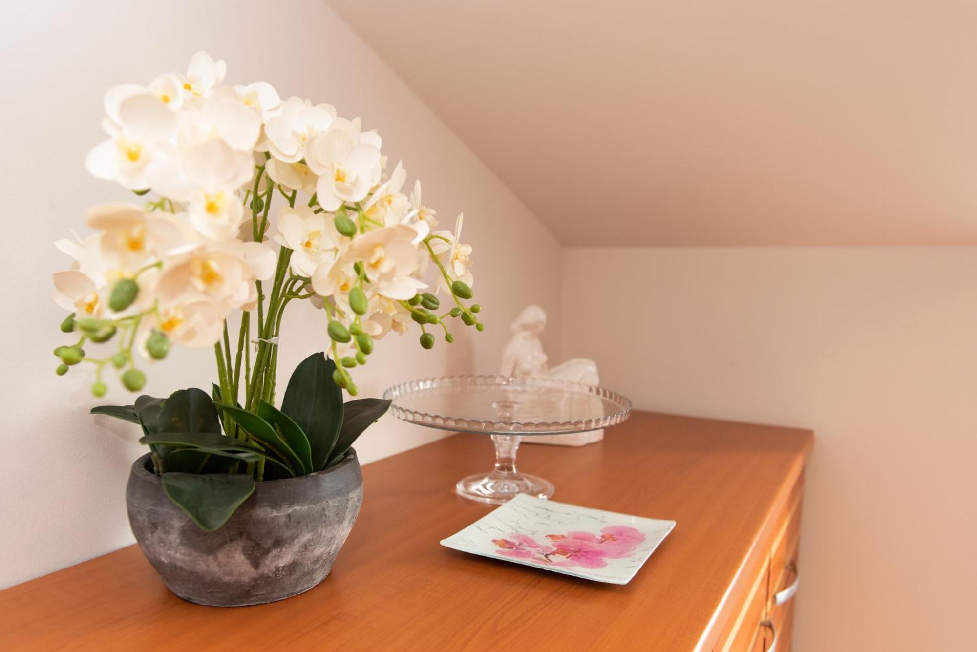 Apartments Andrijana Split Zewnętrze zdjęcie